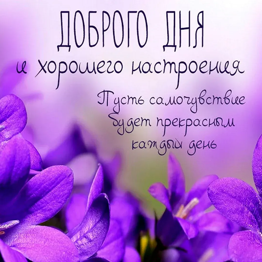 Открытка хорошего дня! - Фиалки: нежные поздравления с днем рождения | Красивая открытка #13