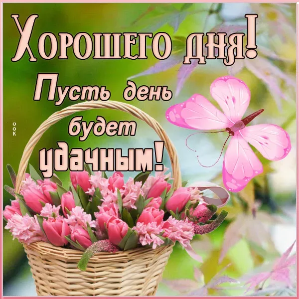 Открытка хорошего дня! - Корзина с розовыми цветами и бабочкой | Красивая открытка #9