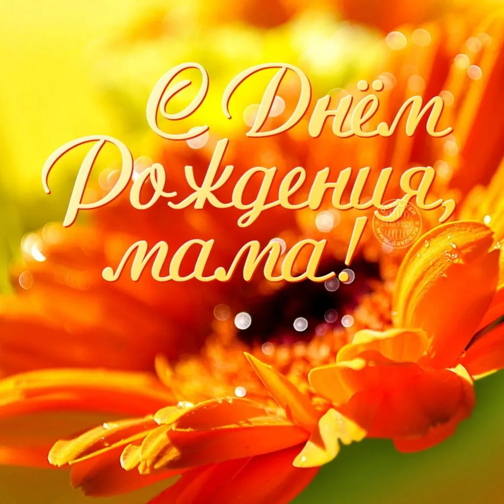 Открытка С днём рождения мама! - Открытка С Днём Рождения: Яркие цветы | Красивая открытка #12