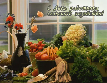 Открытка День работников сельского хозяйства - Открытка с овощами и цветами: помидоры, салат, капуста | Красивая открытка #1