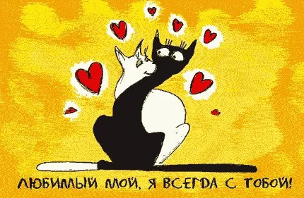 Открытка Открытки я рядом - Открытка с котами: черные и белые обнимаются | Красивая открытка #60