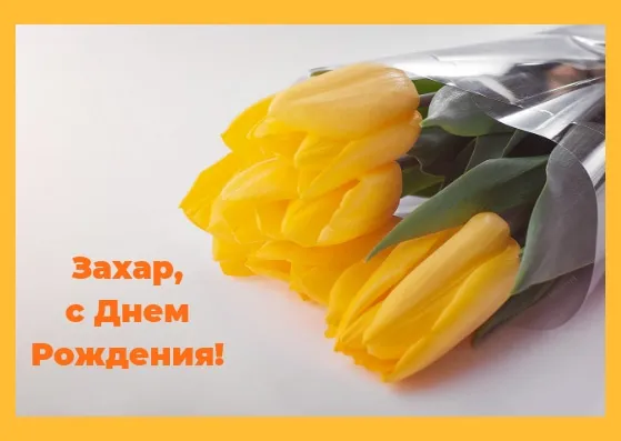 Открытка открытки с именем Захар - Желтые тюльпаны в бутоне: открытка с днем рождения | Красивая открытка #186
