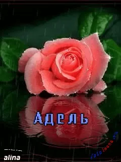 Открытка Открытки с именем Адель - Розовая роза на открытке с надписью "Адель" | Красивая открытка #76