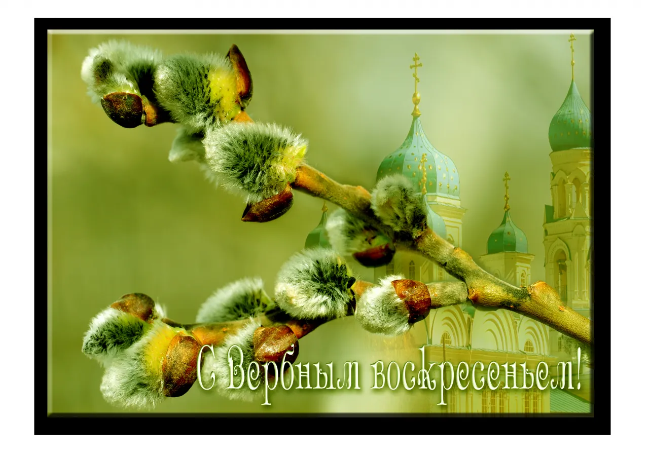 Открытка Вербное Воскресенье - Верба и церковь: пасхальная открытка с весенним настроением | Красивая открытка #315