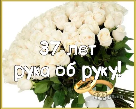 Открытка Открытки на Алюминиевую свадьбу 37 лет - Букет роз и обручальные кольца | Красивая открытка #29