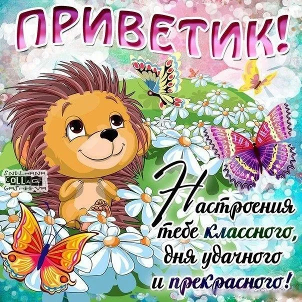 Открытка Привет - Ежик с цветами: открытка с днем рождения | Красивая открытка #285