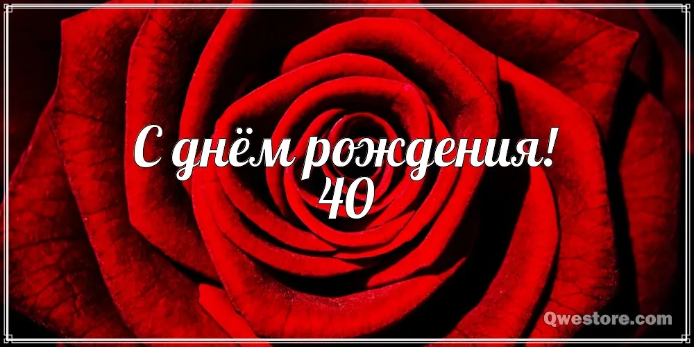 Открытка Открытки на 40 лет - Красная роза: открытка с днем рождения | Красивая открытка #174