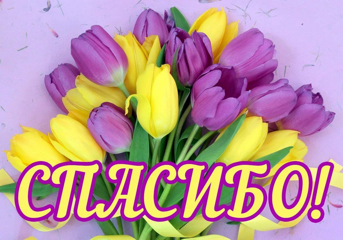 Открытка Спасибо - Букет тюльпанов: фиолетовые и желтые цветы | Красивая открытка #31