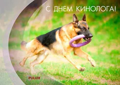 Открытка День кинолога - Немного времени для игр: открытка с немецкой овчаркой | Красивая открытка #7