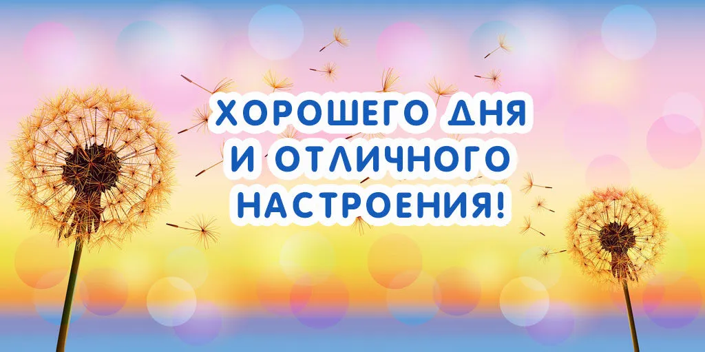 Открытка Хорошего дня - Пушистые одуванчики на фоне солнца | Красивая открытка #191