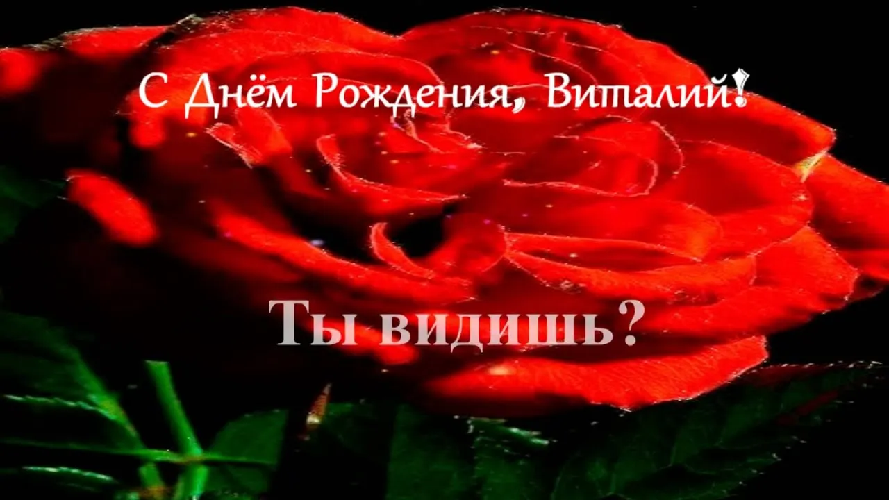 Открытка открытки с именем Виталий - Красная роза: открытка с днем рождения | Красивая открытка #176