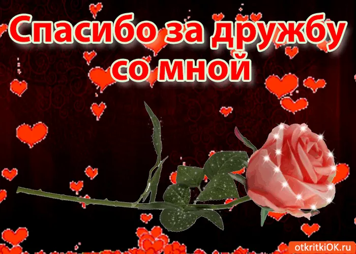 Открытка Открытки о дружбе - Открытка с розой и сердечками | Красивая открытка #134