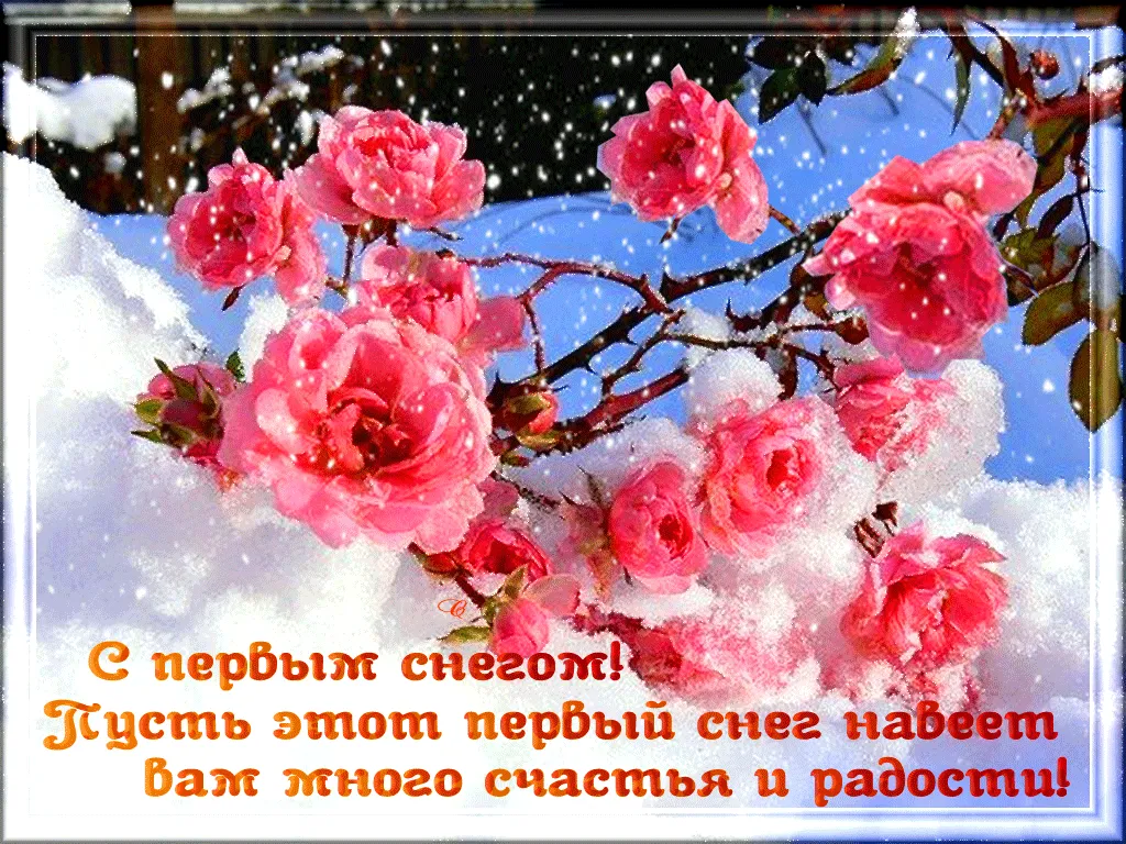 Открытка С первым снегом - Цветы сакуры в снегу: открытка с весенним настроением | Красивая открытка #65