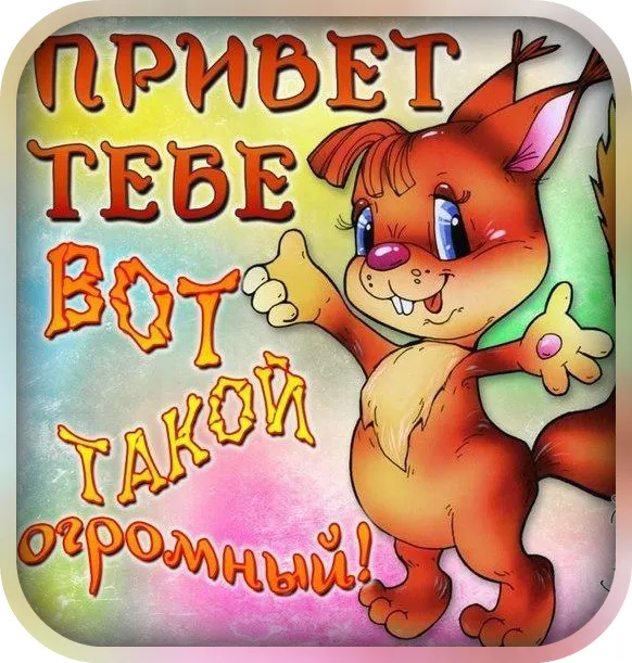 Открытка Привет - Открытка с милым рыжим котенком | Красивая открытка #23