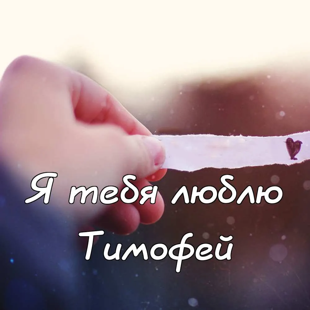 Открытка Открытки с именем Тимофей - Открытка: "Я тебя люблю" | Красивая открытка #182