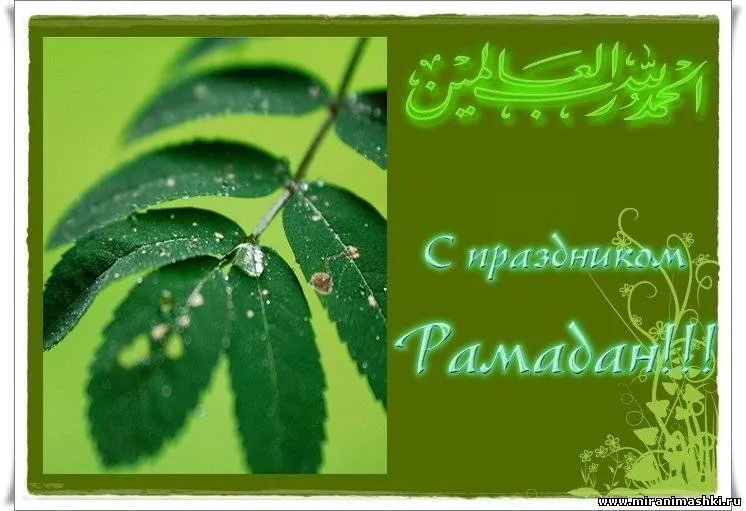 Открытка Рамадан - Открытка с Рамаданом: зеленые листья и арабская надпись | Красивая открытка #77