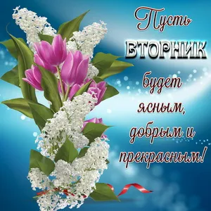 Открытка Удачного вторника - Открытка: Букет белых цветов и розовых роз | Красивая открытка #28
