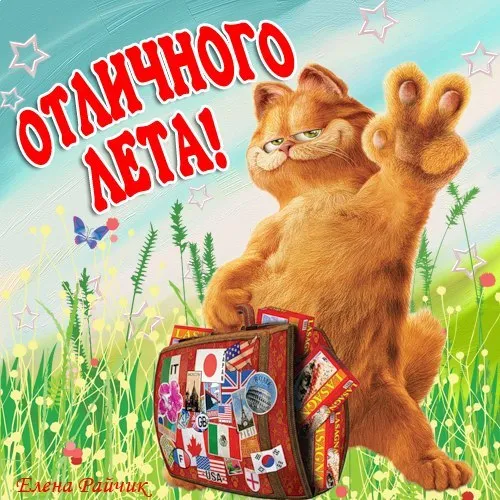 Открытка С первым днём лета - Открытка с котом и чемоданом: смешное поздравление | Красивая открытка #42