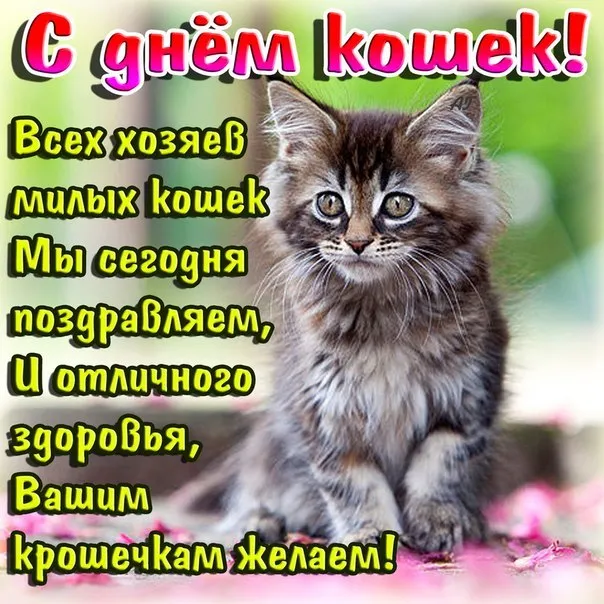 Открытка День Кошек - С Днём рождения! Котенок с пожеланиями | Красивая открытка #9