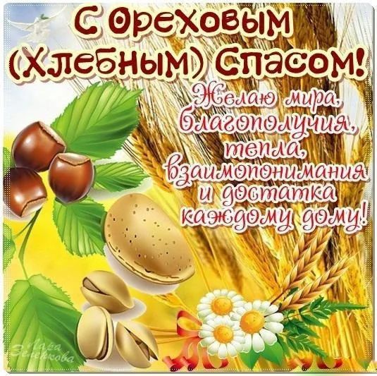 Открытка Ореховый спас - Открытка с орехами и пшеницей | Красивая открытка #142