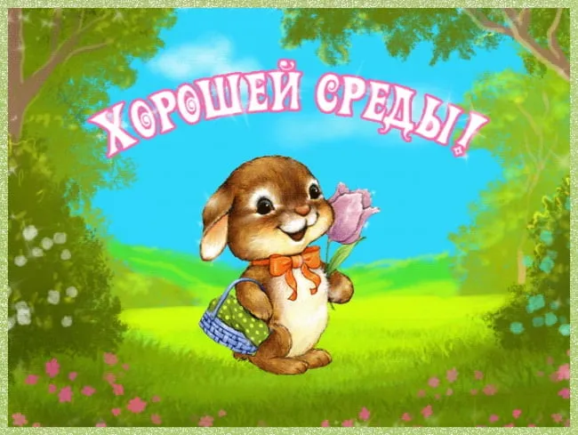 Открытка Среда - Открытка с зайчиком и цветами | Красивая открытка #84
