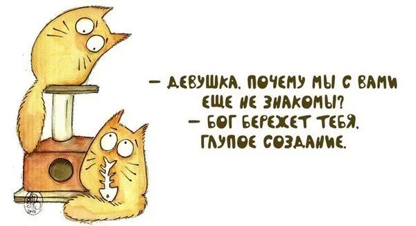 Открытка Высказывания, мысли - Два кота с рыбой: смешная открытка с подписью | Красивая открытка #28