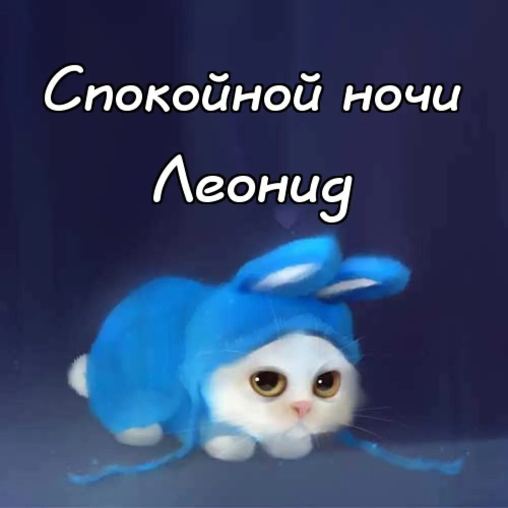 Открытка Открытки с именем Леонид  - Симпатичный котенок в шапке - открытка с котенком | Красивая открытка #93