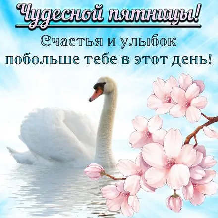 Открытка Удачной пятницы - Открытка с лебедем и цветком сакуры | Красивая открытка #24