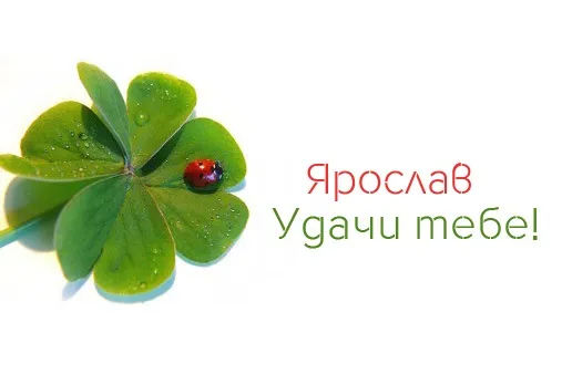 Открытка Открытки с именем Ярослав  - Клевер с росой и божьей коровкой. Открытка | Красивая открытка #87