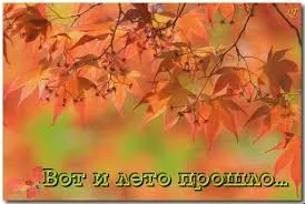 Открытка Открытки с последним днем лета - Осенние листья: яркие краски и теплота | Красивая открытка #46