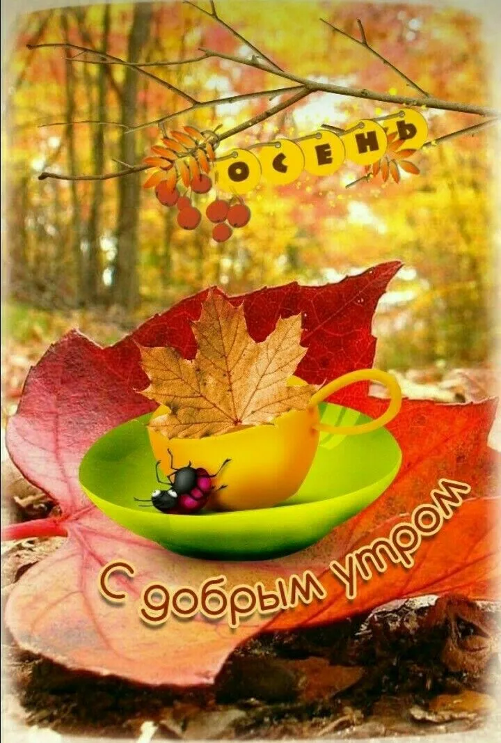 Открытка Открытки с добрым осенним утром - С добрым утром! | Красивая открытка #13