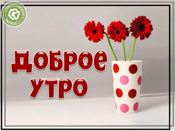 Открытка С герберами - Открытка с цветами: Красные герани в вазе с горошек | Красивая открытка #82