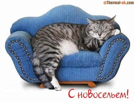 Открытка Открытки с новосельем - Открытка с котом на синем диване — с новым годом! | Красивая открытка #36