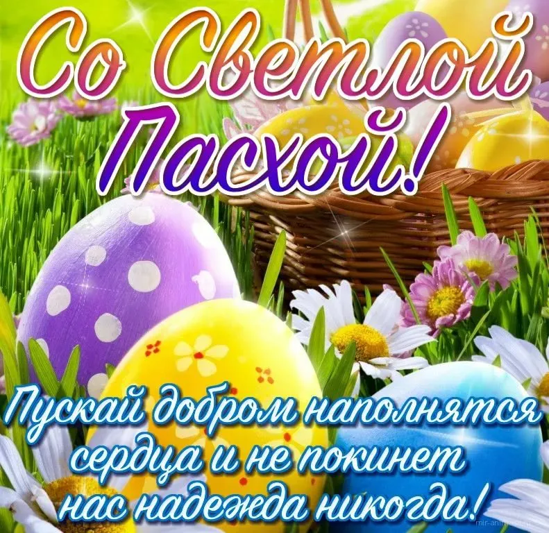 Открытка С пасхой - Яйца, цветы, пасхальный фон | Красивая открытка #48