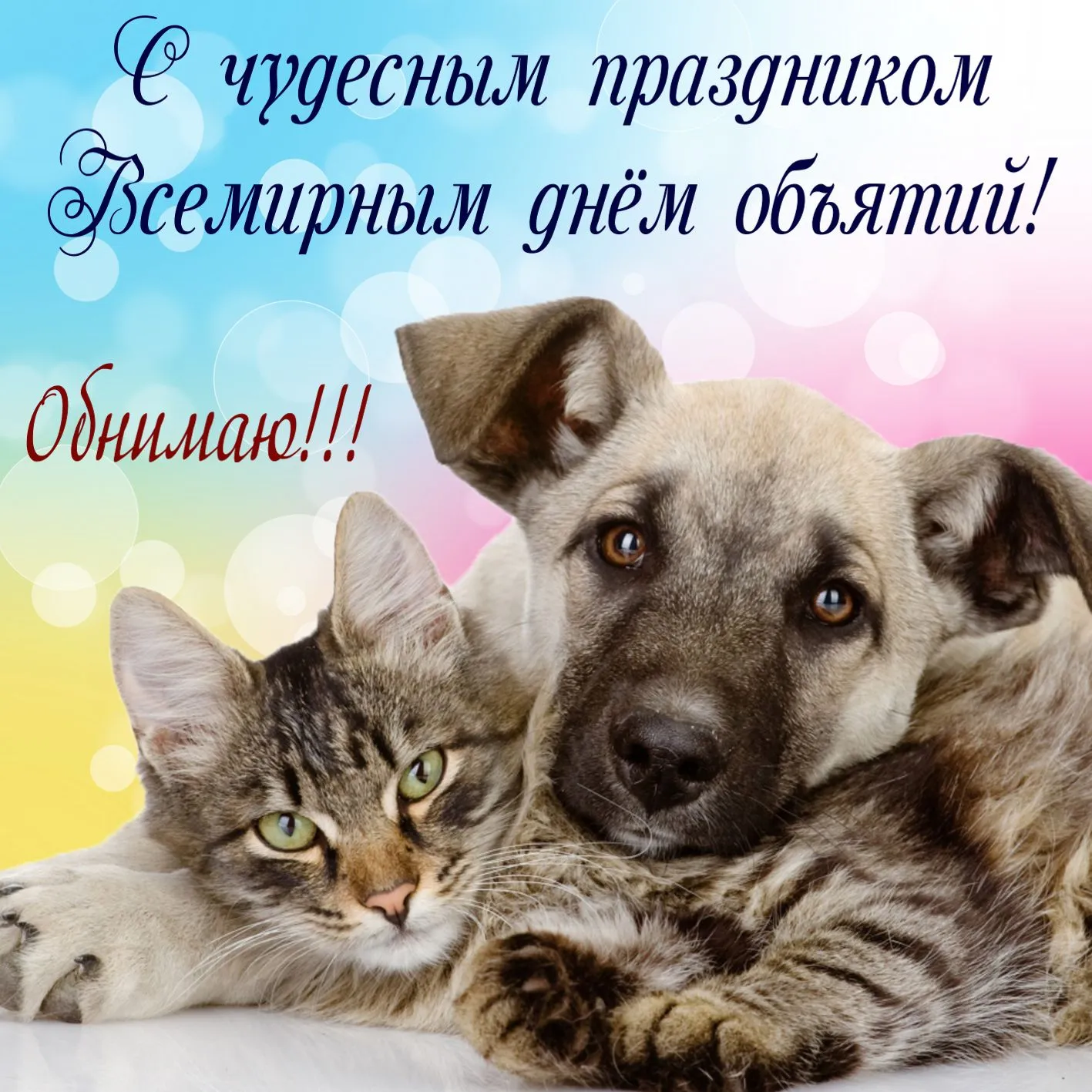 Открытка С днём объятий - Котенок и щенок: милые друзья на праздничной открытке | Красивая открытка #54