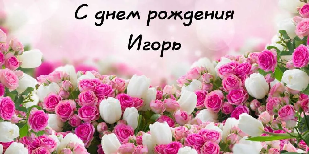 Открытка открытки с именем Игорь - Открытка с розовыми и белыми розами | Красивая открытка #32