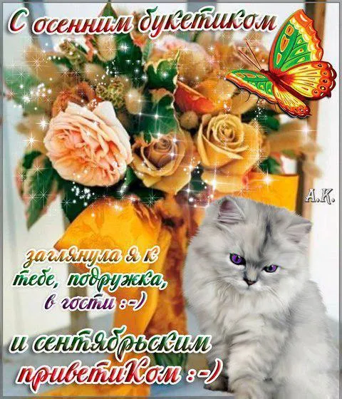 Открытка Осенний приветик - Котенок и бабочка на осеннем фоне. Открытка с котенком | Красивая открытка #80