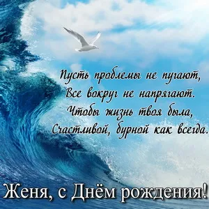 Открытка открытки с именем Евгений - Открытка с днем рождения: море, чайка, стихия | Красивая открытка #119