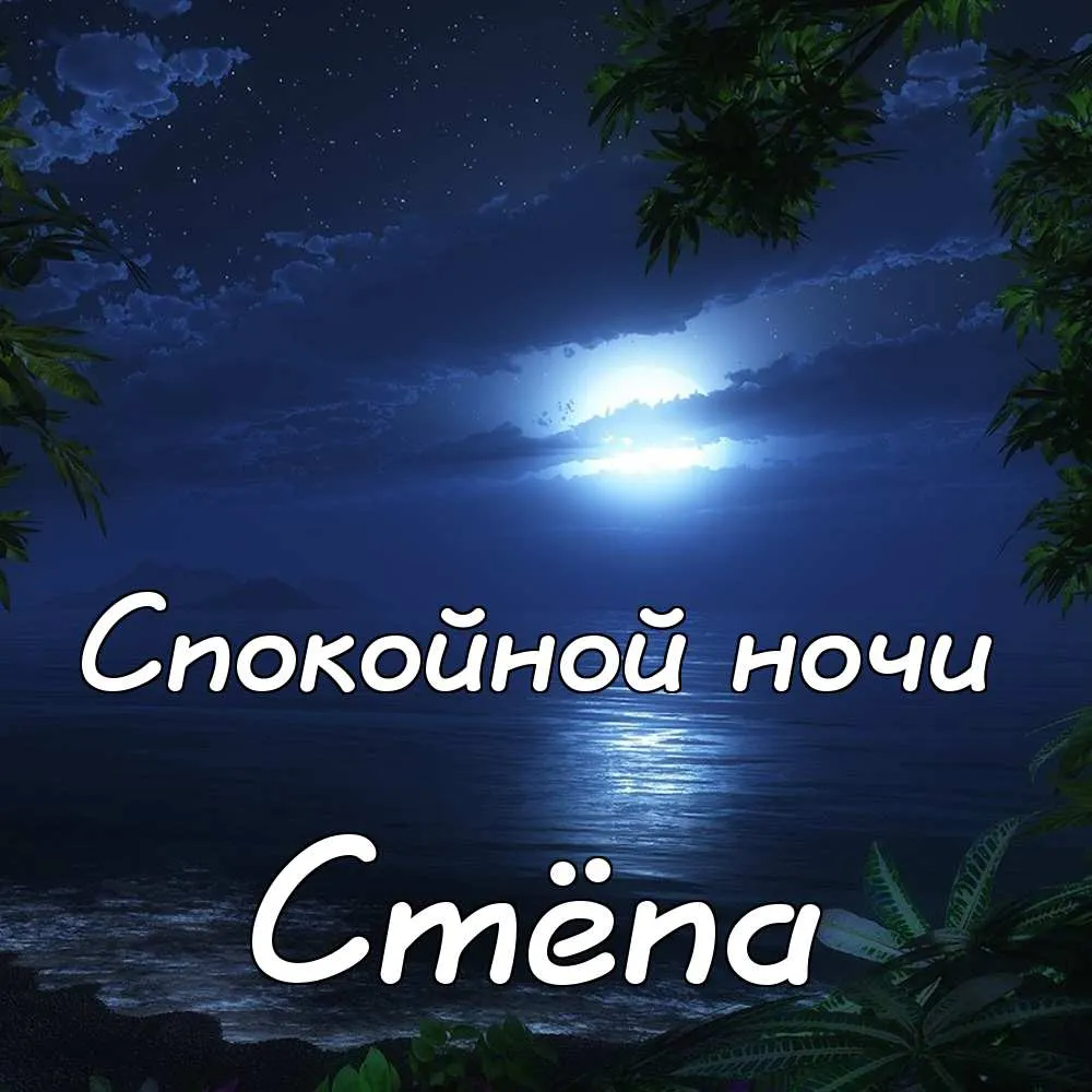 Открытка Открытки с именем Степан - Ночное море, луна и пальмы: открытка с красивым пейзажем | Красивая открытка #151