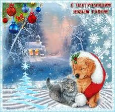 Открытка Новый Год - Щенок и котенок в снегу: Новогодняя открытка | Красивая открытка #55