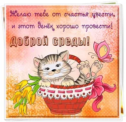 Открытка Открытки на среду - Открытка с котенком в корзинке и бабочкой | Красивая открытка #63