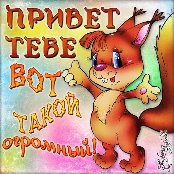 Открытка Привет - Открытка с рыжим лисенком: прикольный лис, веселый подарок | Красивая открытка #33