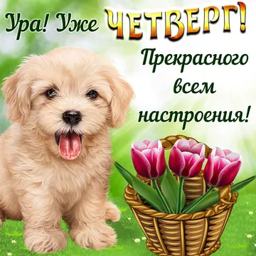 Открытка Четверг - Щенок и корзина тюльпанов: Праздничная открытка | Красивая открытка #56