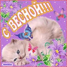 Открытка Открытки с первым днем весны - Котенок и бабочки: яркая открытка с цветами | Красивая открытка #65