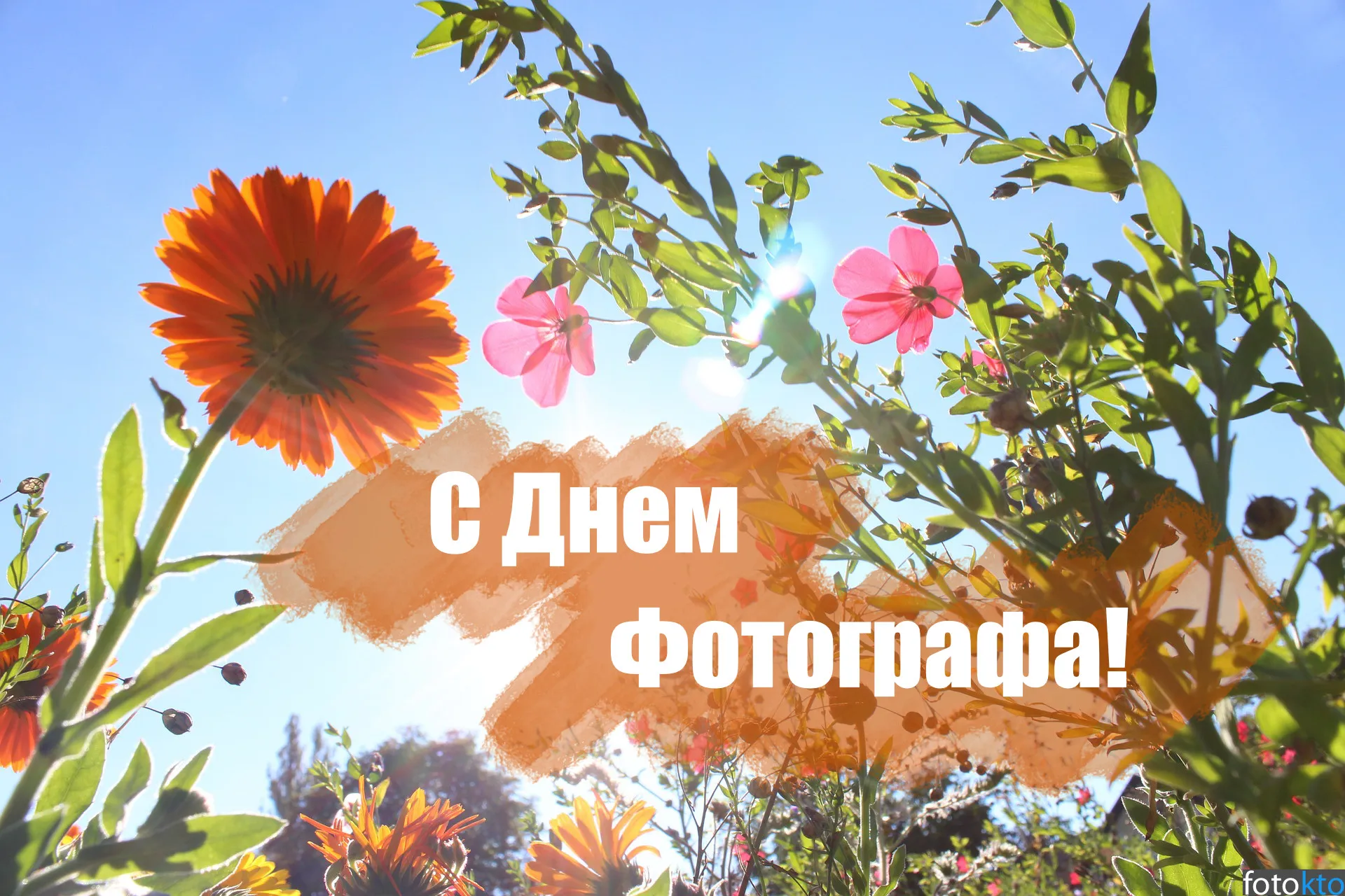Открытка День фотографа - С Днем Фотографа! Открытка с цветами и солнцем | Красивая открытка #39