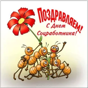 Открытка С днём социального работника - Муравьи поздравляют с праздником: забавная открытка | Красивая открытка #52
