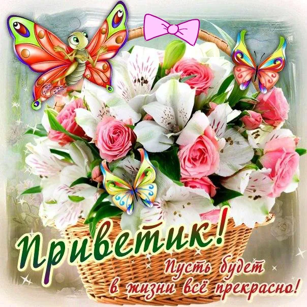 Открытка Привет - Открытка с цветами и бабочками  Приветствие | Красивая открытка #17