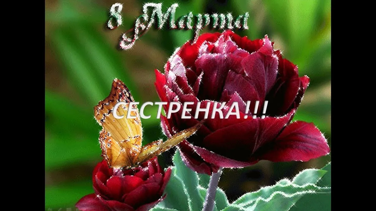Открытка 8 марта - Красный цветок и бабочка: Красивая открытка | Красивая открытка #387