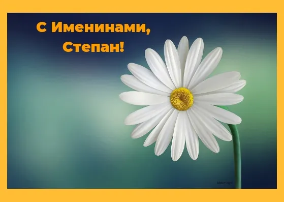 Открытка Открытки с именем Степан - Белая ромашка на голубом фоне | Красивая открытка #249