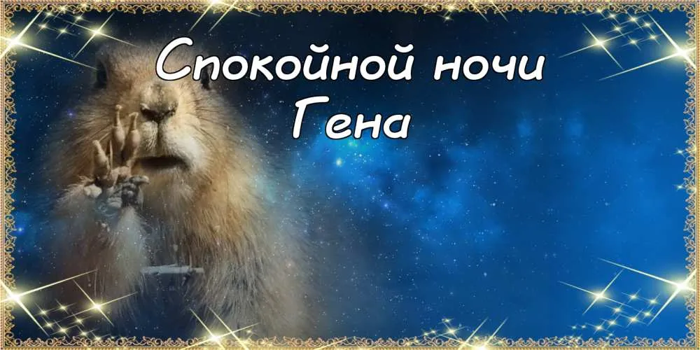 Открытка открытки с именем Геннадий - Открытка со спящим львёнком. Поздравления с ночью. | Красивая открытка #134